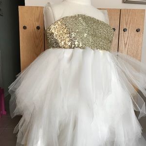 Flower Girl/ Birthday Dress